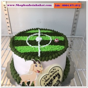 Bánh Sinh Nhật Bóng Đá - SU49